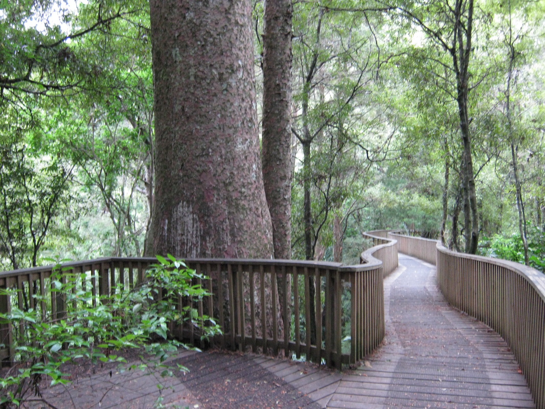 A.H. Reed Memorial Park